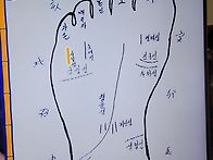 사장님귀는 당나귀 귀 족상..