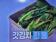 편스토랑 하영 무소금 액젓..