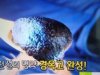 코리아헌터 백복령 찾기와..