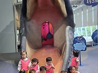 &#128033;가..
