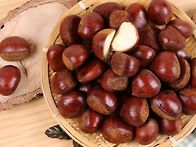 🌰 알밤아, 반