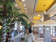 영종도 구읍뱃터/인천시민..
