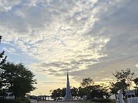 안산 포도축제