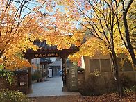 봉은사 단풍 불교대학원 ..