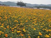 양주나리공원