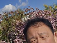 개미취 (이천 설봉산 20..