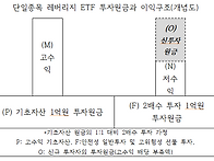 레버리지 ETF와 다단계 판..