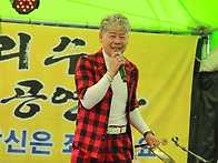 신안 튜울립축제