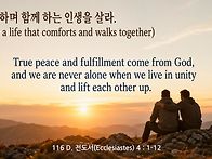 116 D.  전도서 ..