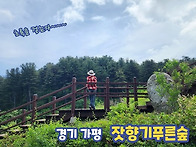 2026년7월 경기 ..