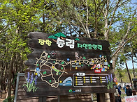 2026년5월 장항 ..