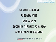 청주심리상담)사춘기의 뇌
