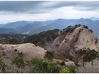 [제132차] 변산바람꽃 찾..