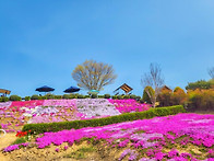 진안꽃단지축제동산