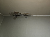 안산누수~~단원구 와동 태..