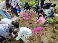 꽃밭 가꾸기(내당가족친화..