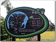 6월30일(화)충주여행/치유..