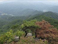 주금산- 초록의 숲과 유순..