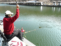 상류수온 영상 8.4도입니다..