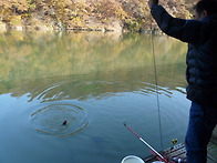 그냥 지나치지 않는 가을