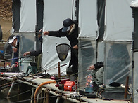 하류 긴 대와 상류조황이 ..