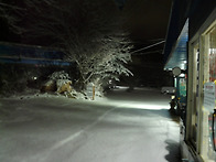 첫 눈이 내렸습니다,