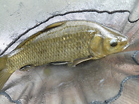 고온 야간 일교차 큼