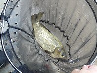 주간 기온 영상 11.5도 ..