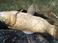 3시간의 즐거움