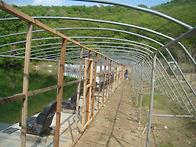 주간 조황 급상중