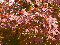 야간 영상 3도대