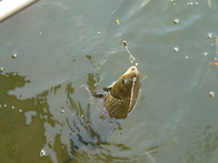 바람이 좀 찹니다.