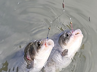 우리 모두 다함께 노래해