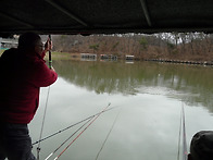 여름같은 조황은 아니지만..