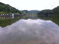 팔이 아파서 더 이상은 6..