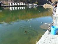 날이 더 추워집니다.