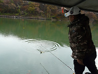 기온 일시적 상승