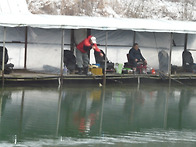 12월 16일 조황 정보