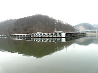 고기들이 크게 움직입니다..