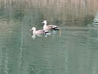 분위기 좋고~ 잘 나오고~