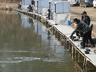 모처럼 날이 좋습니다.