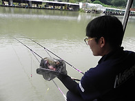 완전 조황 회복은 아직