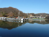 수온 10도대로 하강