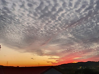 포카스농장에서 마음 잡히..