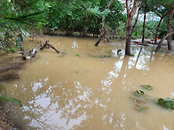 올해도 힌남노 태풍이 그냥..