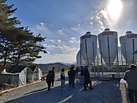 쿠쿠닭농장(석보면) 치유농..