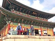 고궁걷기 (2025/11.30)