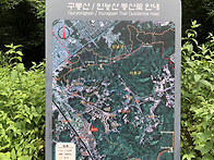 제381차 정기산행 6월15일 (토요일)인릉산..