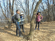 제 445정기산행 청계산/옥녀봉 정민대장리딩..