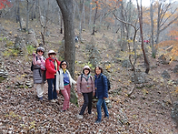 원정트레킹(2025년 11월 16일 '일요일')..